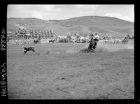 Pete Peterson Calf Roping