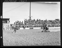 Buff Douthitt Calf Roping