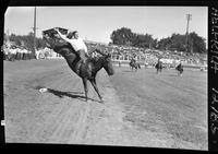 Sammy Flynn on Coulee City