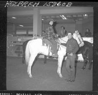 Jo Decker on Horse