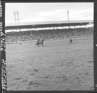 Sonny Davis Calf Roping