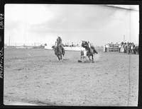 Verle Bedighamer Steer Wrestling