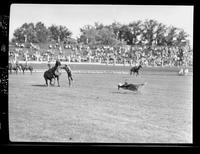 Jake Bogard Calf Roping