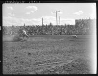 Sonny Paxton Calf Roping