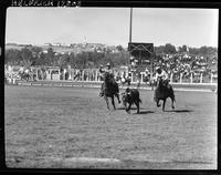 Arvine Porter Steer Wrestle