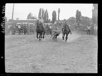 Pat Sullivan Steer Wrestling