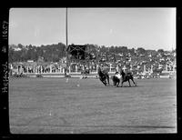 Bill Sylvester Steer Wrestling