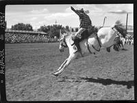 Lawson Fore on Cowboy's Dream
