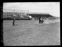 Buff Douthitt Calf Roping