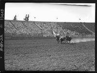 Bill Hartman Steer Wrestling