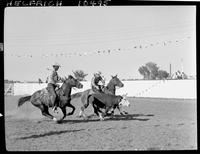 Archie MacIntosh Steer Wrestling