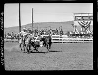 Don Toelle Steer Wrestling