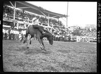 Gene Tyler on Red Top