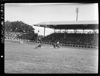 Jim Bob Altizer Steer Roping