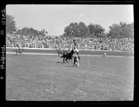 E.V. Dorsey Calf Roping