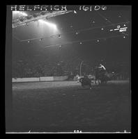 Buddy Groff Calf Roping