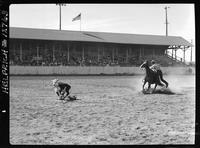 Dean Oliver Calf Roping
