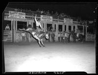 Buck Rutherford on War Paint