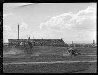 Van Irvine Steer Roping