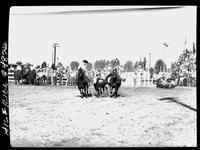 Gordon Davis Steer Wrestling