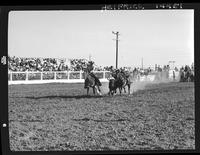 Monroe Tumlinson Steer Wrestling