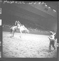 Marty Wood - on Jesse James  (Roberts)