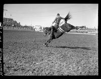 Chuck Stegman on Albuquerque