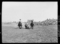 James Bynum Steer Wrestling