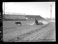 Bill Duffy Calf Roping