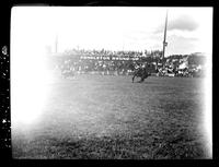 Joe Bergevin Calf Roping