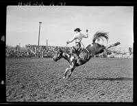 Jim Polk on Cochise