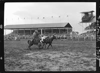 Doyle Cobler Steer Wrestling