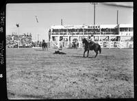 Ralph Narramore - Abe Shamblin Team Roping