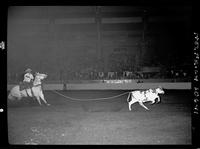 Kack Proctor Calf Roping