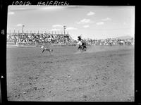 Dave Selvey Calf Roping