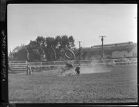 Ted Billings Bull Fighting