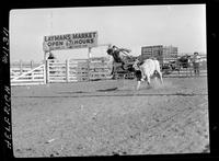 Wick Peth Bull Fighting by Devere kicking Bull in Face