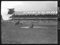 Bill Jones Calf Roping