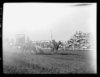 J.D. McKenna Steer Wrestling