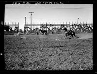 Stan Johnson Calf Roping