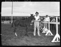 Q.H. Fillies, Colts foaled in '58 Star's Cricket, Mrs, Jean C. Adams