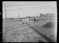 Leonard Block Calf Roping