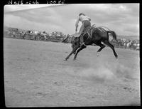 Bob Barlise on Mud Hen