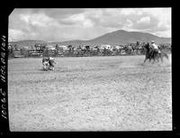 Stanley Johnson Calf Roping