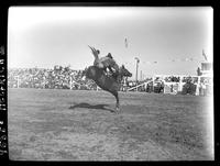 Buddy Heaton and "El Rocco"