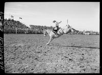 Bill R. Ward on Nugget
