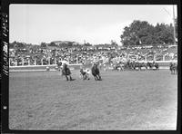 Sherman Sullins Steer Wrestle