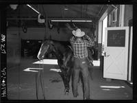 Willard Combs Saddling Baby Doll