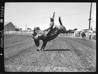 Larry Sisler on Strawberry Shake