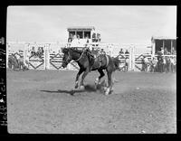 Bill Watts off Snake by Helen